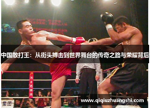 中国散打王：从街头搏击到世界舞台的传奇之路与荣耀背后