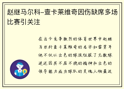 赵继马尔科-查卡莱维奇因伤缺席多场比赛引关注