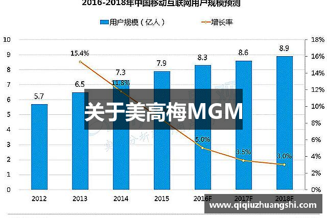 关于美高梅MGM
